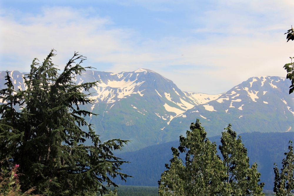 Outlook